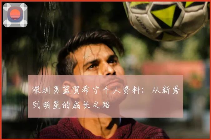 深圳男篮贺希宁个人资料：从新秀到明星的成长之路